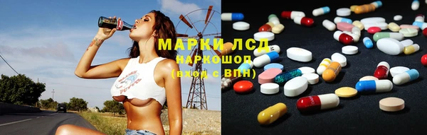 индика Вязьма