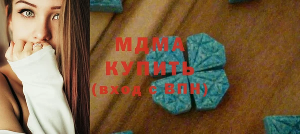 индика Вязьма