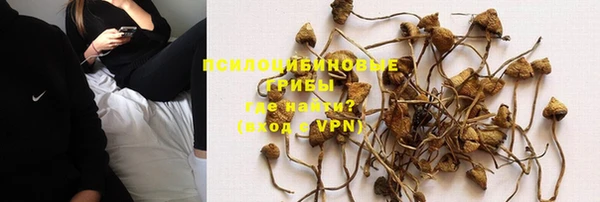индика Вязьма