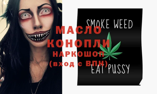 индика Вязьма