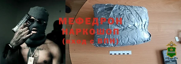 индика Вязьма