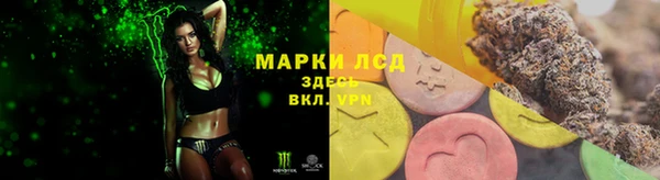 индика Вязьма
