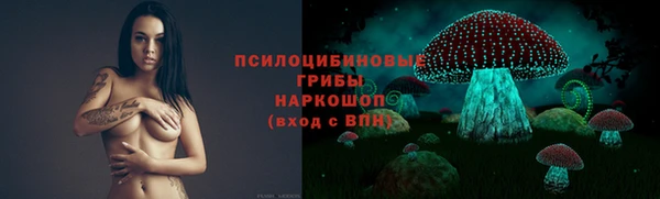 индика Вязьма