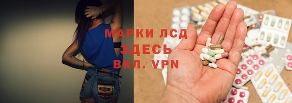индика Вязьма