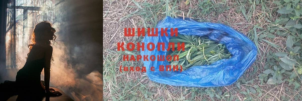 индика Вязьма