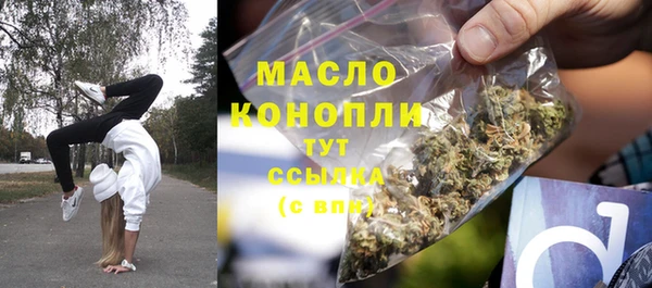 индика Вязьма