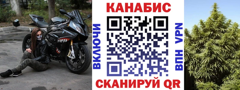 Марихуана сатива  Верхнеуральск 